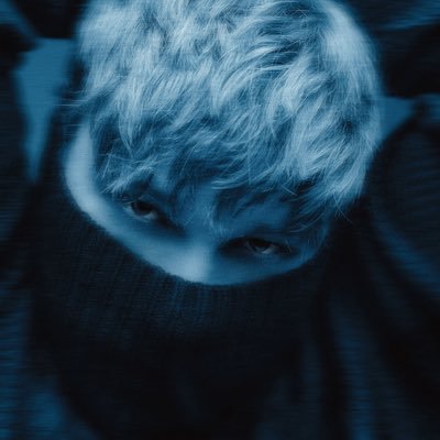 Darci's profile picture