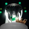 Ahmed Alalmai's profile picture