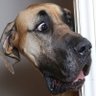 Profilbild von dante b