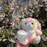 ぴぃちゃん🤍🧽💜🕰️ profil fotoğrafı