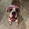 Arnie's profile picture