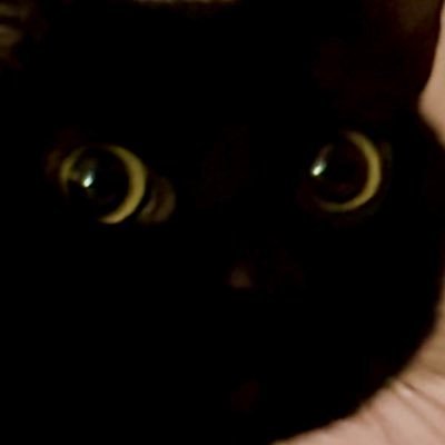 특대형공허's profile picture