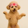 Фото профиля みやび せいと