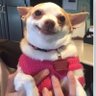 Mer.9113's profile picture
