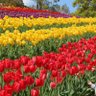 Фото профиля おはな