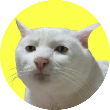 Kot Maryjny 🟡's profile picture