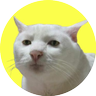 Kot MaRyjny 🇵🇱 profil fotoğrafı