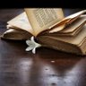 Фото профиля الخميني ابن عايشه مرضعه الرجال
