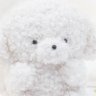 梅雨ちゃん's profile picture