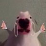 Dmitra's profile picture
