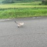 Фото профиля れるだよんんん