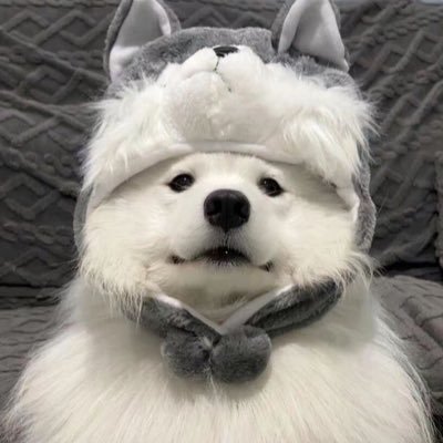 g_rayscale's profile picture