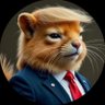 Profilbild von Satoshi Musk
