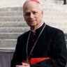 Pope Leo XIV (Parody)'s profile picture