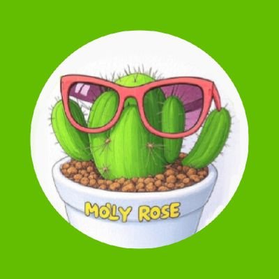 sorachan_ishii's profile picture