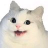 猫仔🐋🐈 profil fotoğrafı