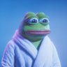 MR.FROG 的头像