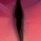 ガイ・ジショー・ガイ's profile picture
