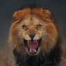 دمعة الحضرمي المقهور's profile picture