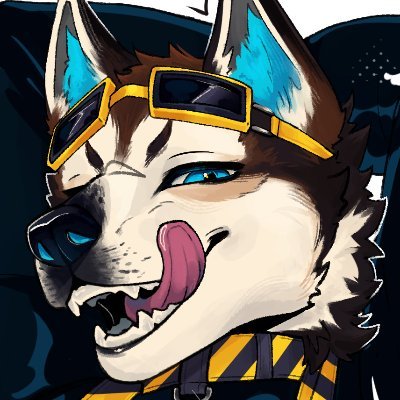 5kitch's profile picture