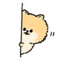 Profilbild von ぴー