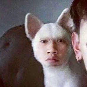 sssangdog's profile picture