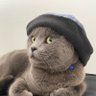 Dennise profil fotoğrafı