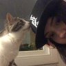 Stefilulipuli's profile picture