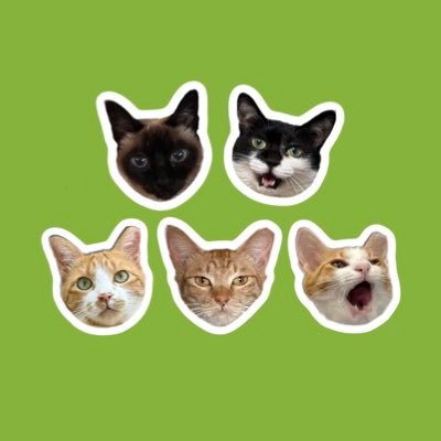 강앤's profile picture