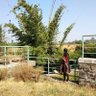 Kirti Deolekar profil fotoğrafı