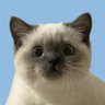 Profilbild von ハナ