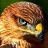 Profilbild von qndeil