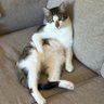 DKvam profil fotoğrafı