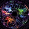 Lord of the void's profile picture
