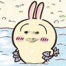 菠萝菠萝's profile picture