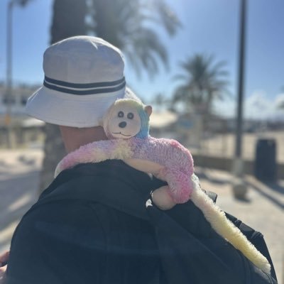 Antho en N1 🇫🇷's profile picture
