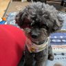 moon's profile picture