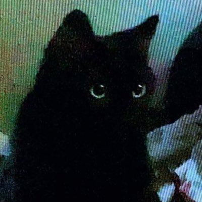 ccccccccc.'s profile picture