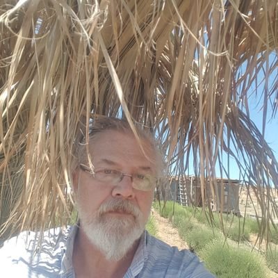 TakkesizDay's profile picture
