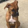Profilbild von CaneloBreed