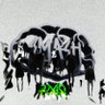brainsmash vxlo's profile picture