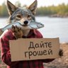 🐶🐟 Шакал і Рибина🇺🇦's profile picture