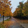 Фото профиля Gökmen Güney