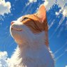 CAT X profil fotoğrafı