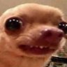 Profilbild von TheOne