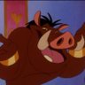 yung warthog profil fotoğrafı