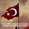 hudaverdi tanriverdi's profile picture