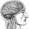 Фото профиля Brain Freedom