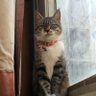namenas profil fotoğrafı