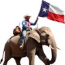 Фото профиля The Red Texan